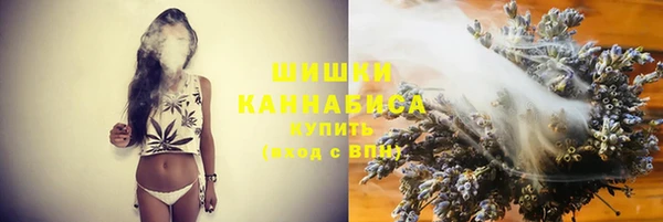 сатива Абинск
