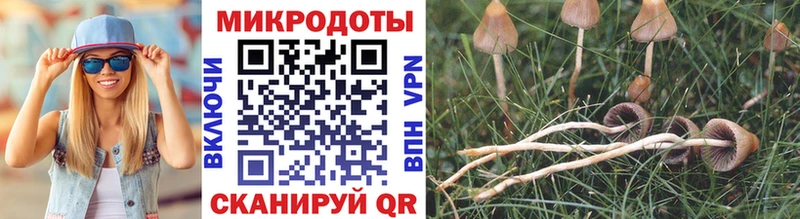 Псилоцибиновые грибы ЛСД как найти закладки Переславль-Залесский