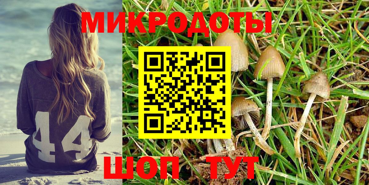 Галлюциногенные грибы Psilocybine cubensis  Вход с VPN  Переславль-Залесский 